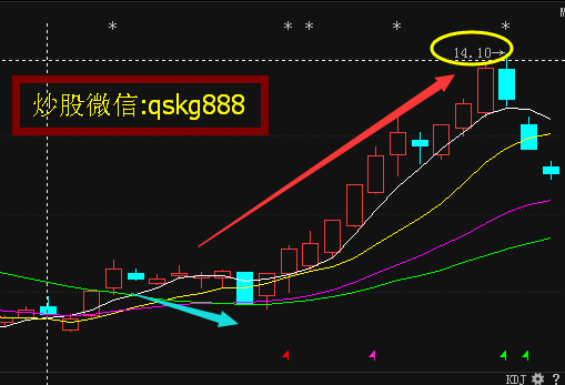 新亚制程最新消息全面解析